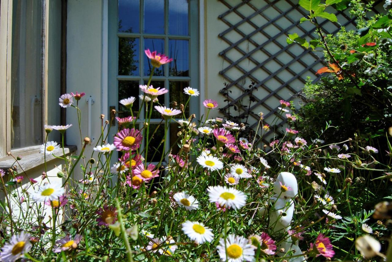 The Cottage Garden - A Herefordshire Retreat Ross-on-Wye Εξωτερικό φωτογραφία